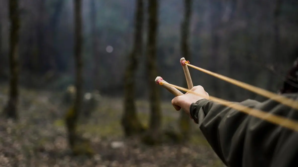 Index Outlook: Getting Charged Up